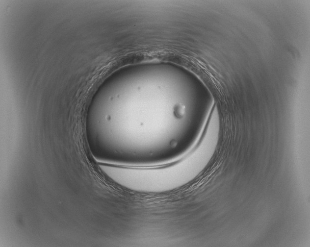 X0000116161345200912071316