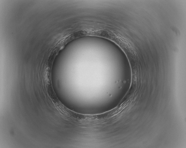 X0000116161346200912071316