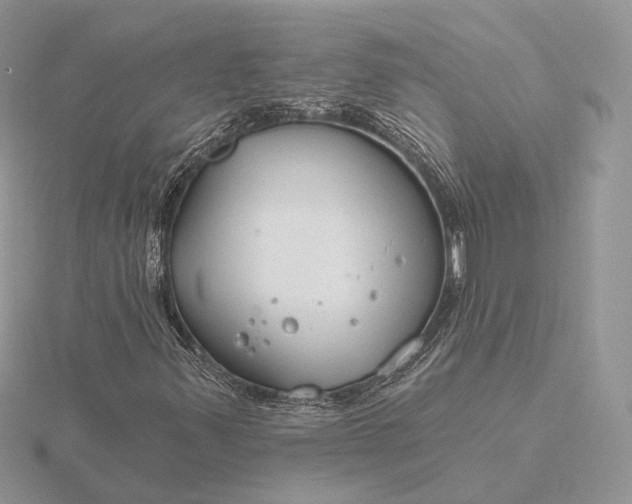 X0000116161347200912071316