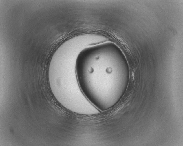 X0000116161348200912071316