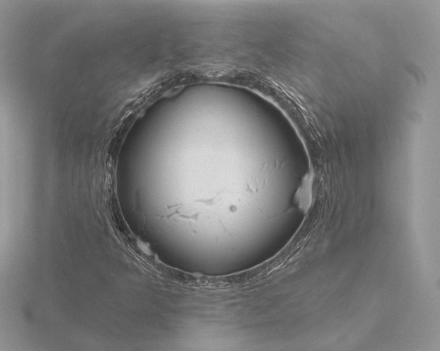 X0000116161349200912071316