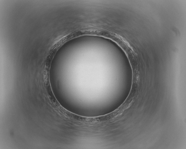 X0000116161350200912071316