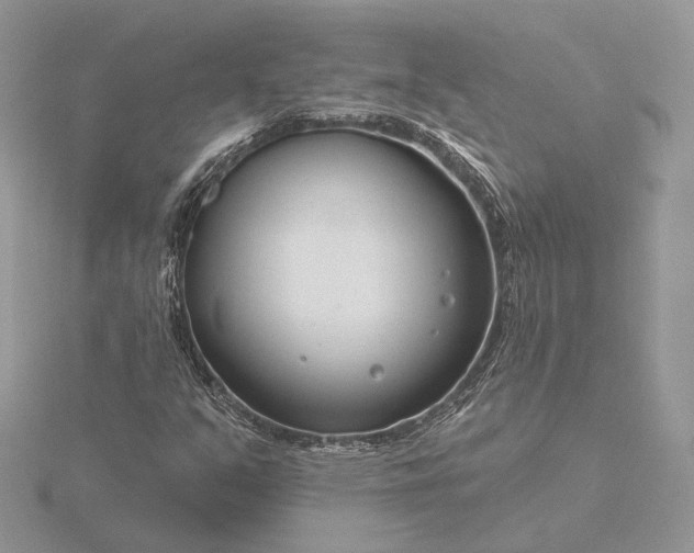 X0000116161351200912071316