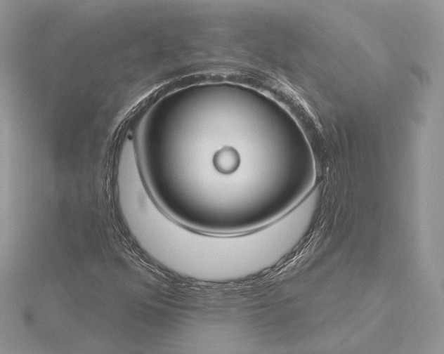 X0000116161352200912071316