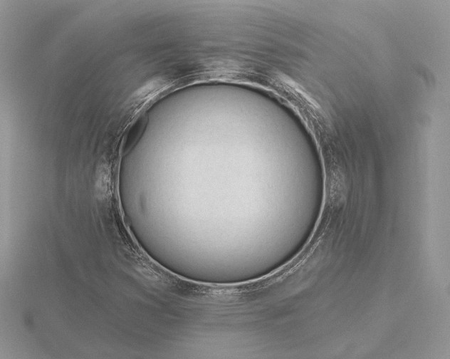 X0000116161353200912071316