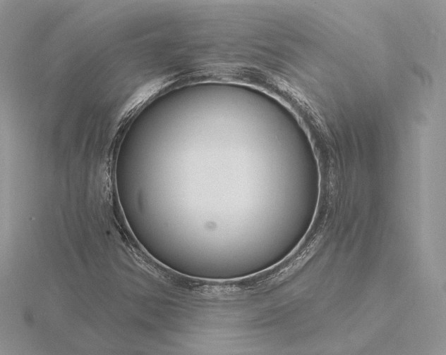 X0000116161354200912071316