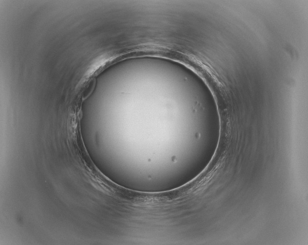 X0000116161355200912071316