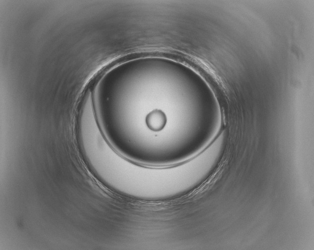 X0000116161356200912071316