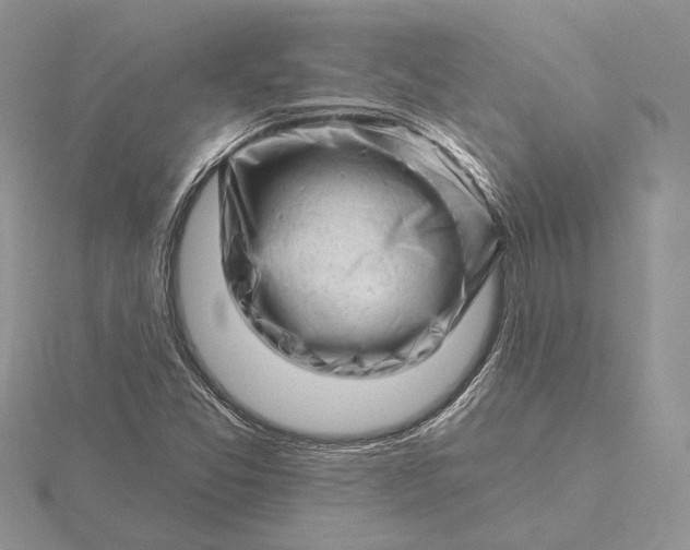 X0000116161357200912071316