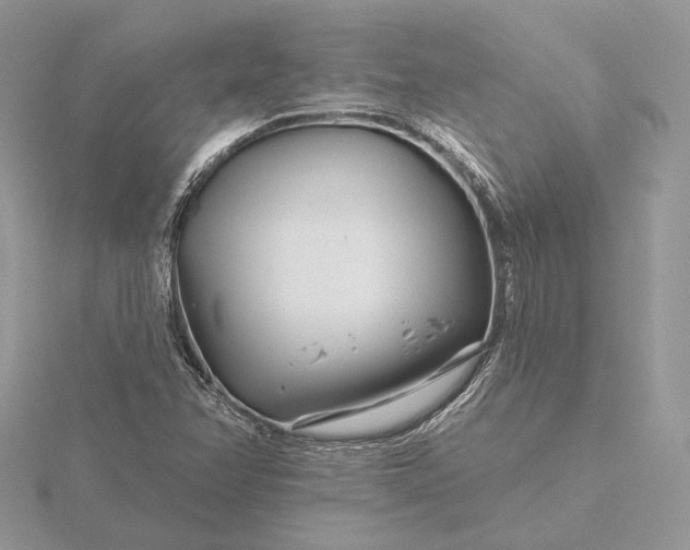 X0000116161358200912071316