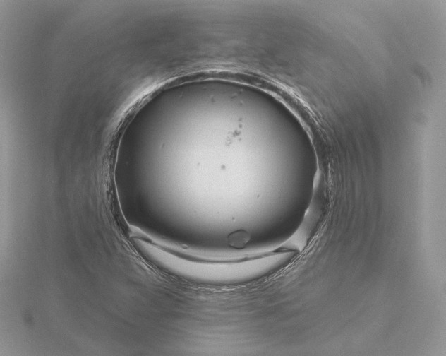 X0000116161359200912071316