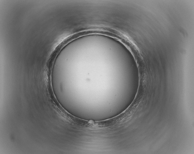 X0000116161360200912071316