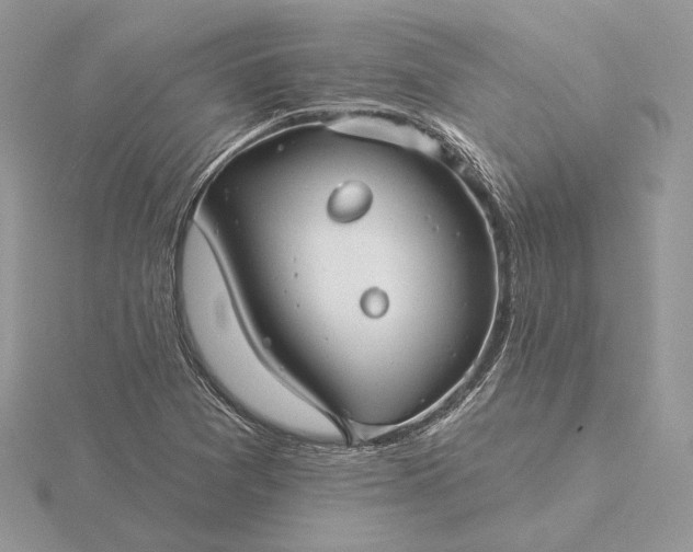 X0000116161361200912071316