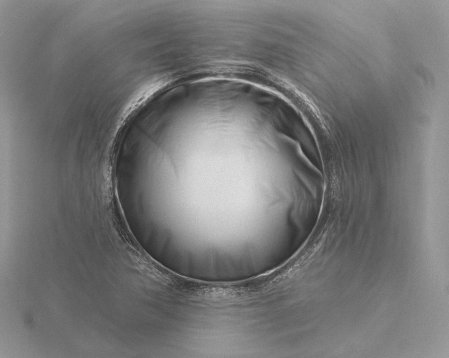 X0000116161362200912071316