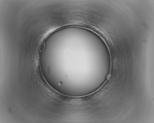 X0000116161363200912071316