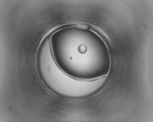 X0000116161364200912071316