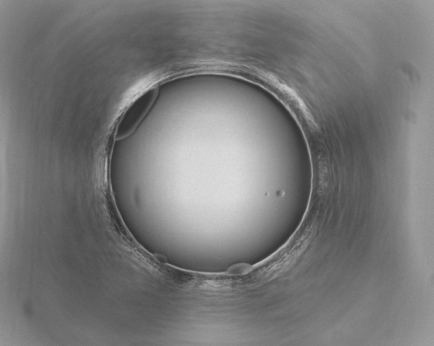 X0000116161365200912071316