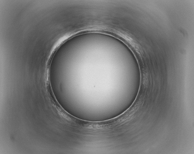 X0000116161366200912071316