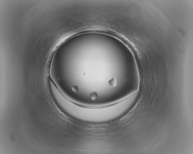 X0000116161367200912071316