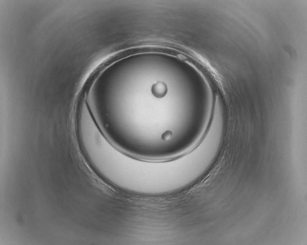 X0000116161368200912071316