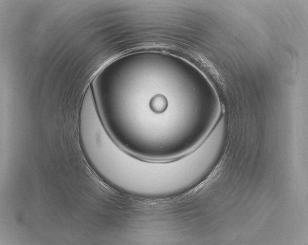 X0000116161369200912071316