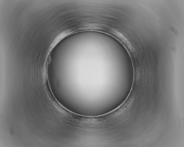 X0000116161370200912071316