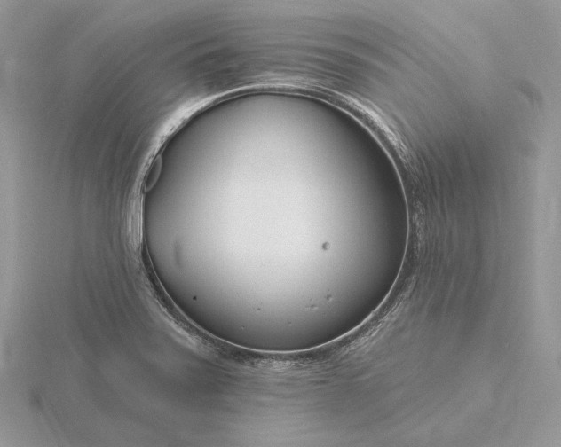 X0000116161371200912071316