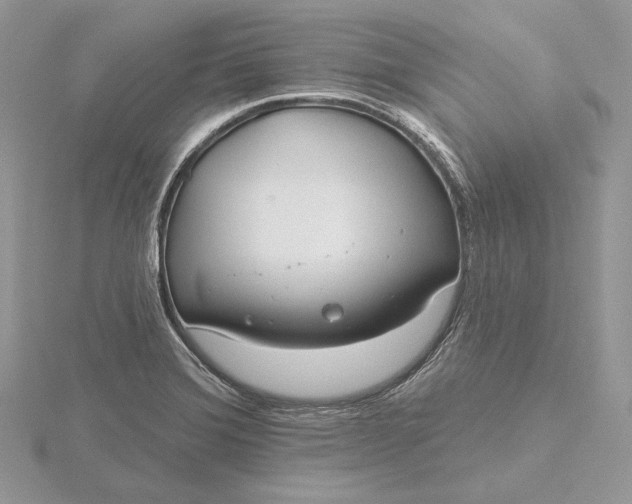 X0000116161372200912071316