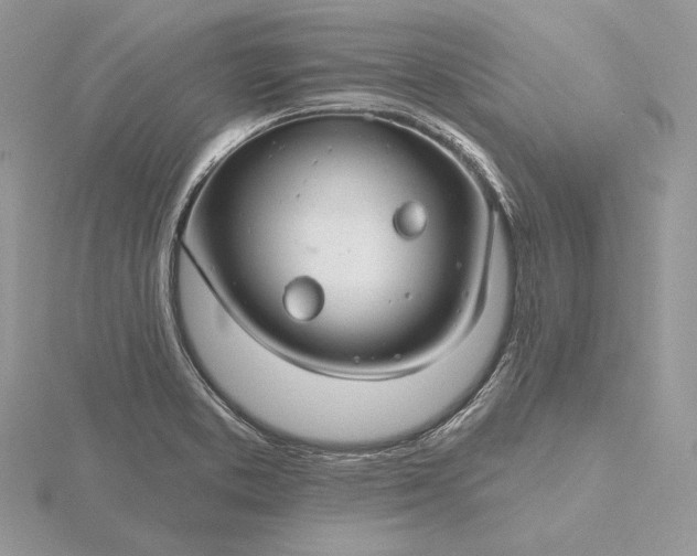 X0000116161373200912071316