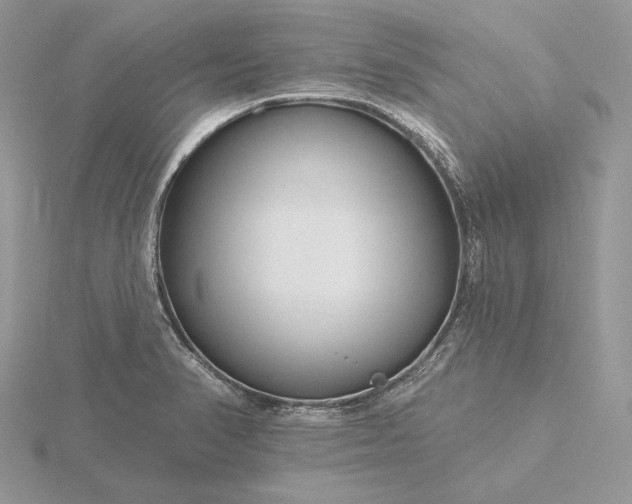 X0000116161374200912071316