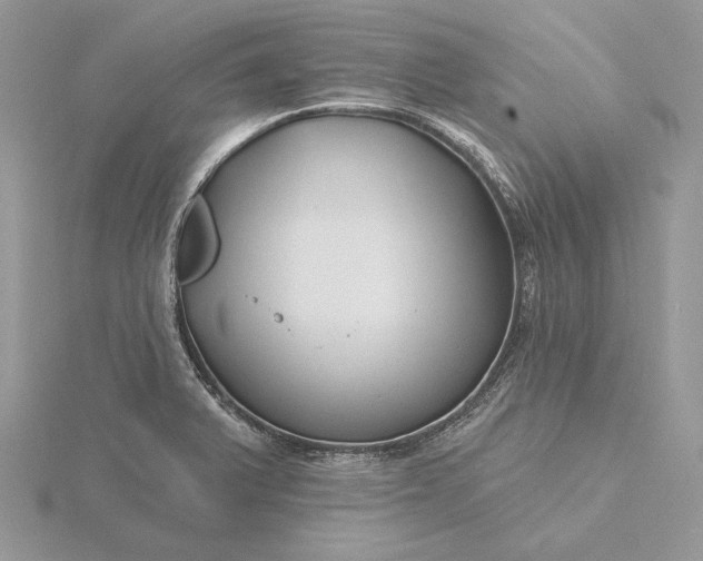 X0000116161375200912071316