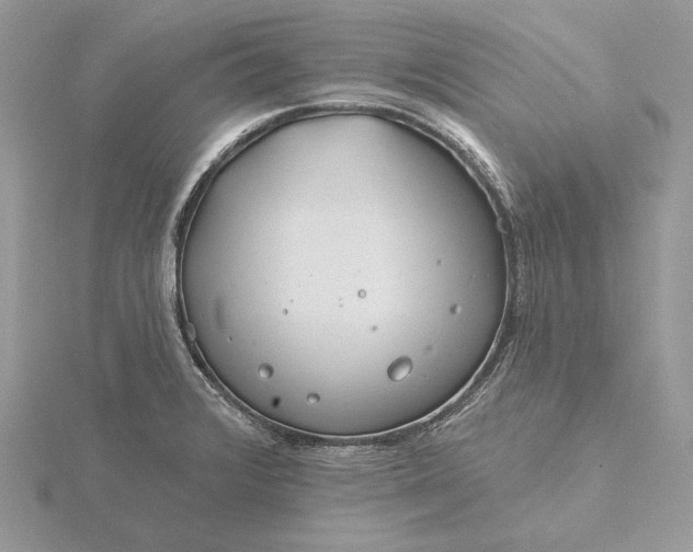 X0000116161376200912071316