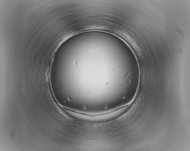 X0000116161377200912071316