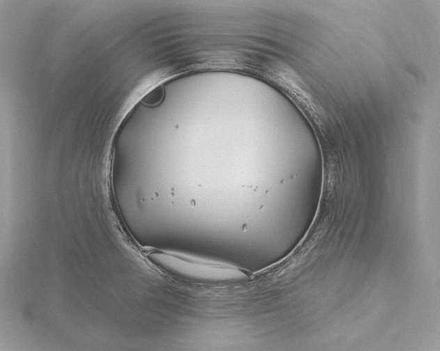 X0000116161378200912071316