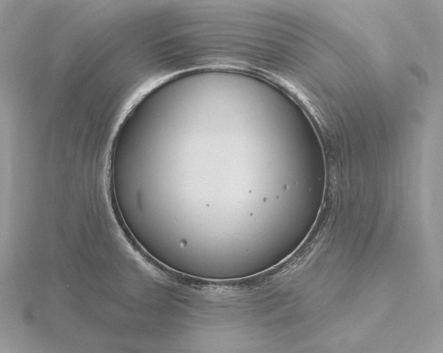 X0000116161379200912071316