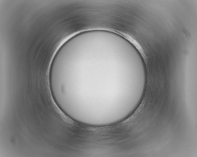 X0000116161380200912071316