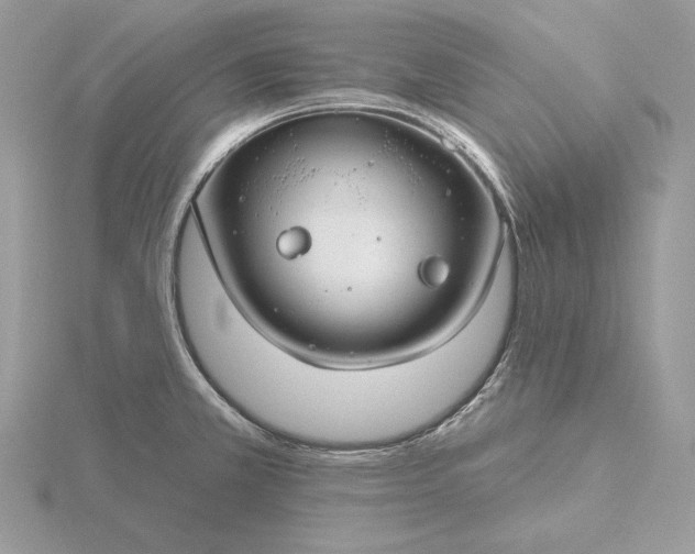 X0000116161381200912071316