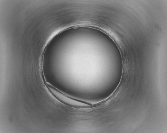 X0000116161382200912071316