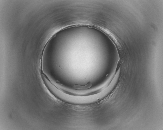 X0000116161383200912071316