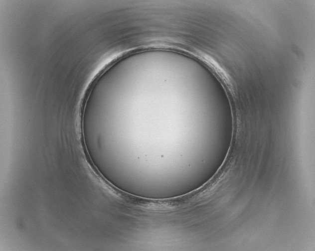 X0000116161384200912071316