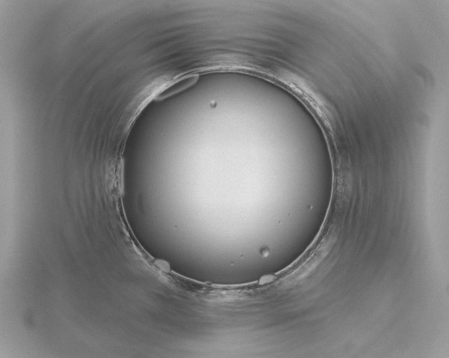 X0000116161385200912071316