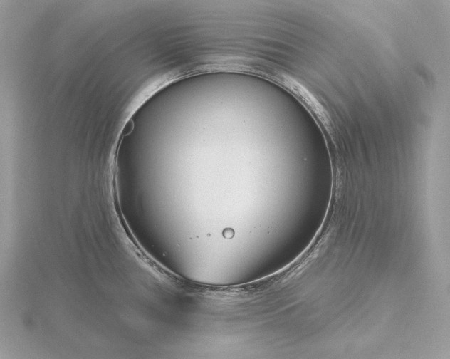 X0000116161386200912071316