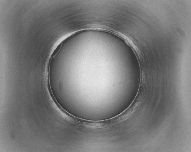 X0000116161387200912071316