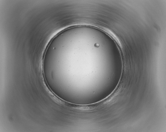 X0000116161388200912071316