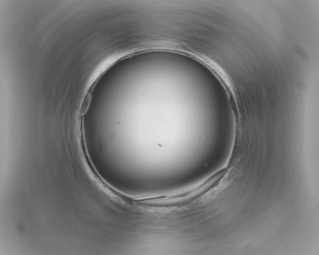 X0000116161389200912071316