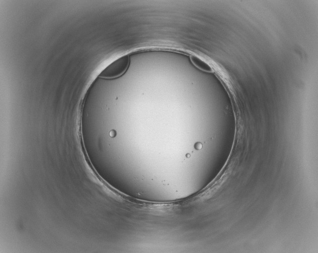 X0000116161390200912071316