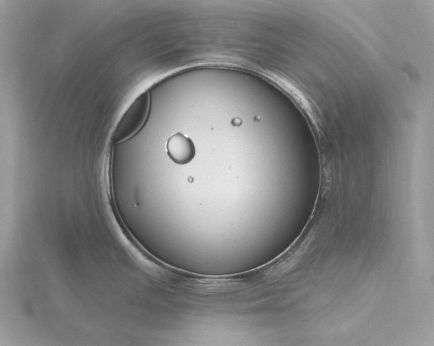 X0000116161391200912071315