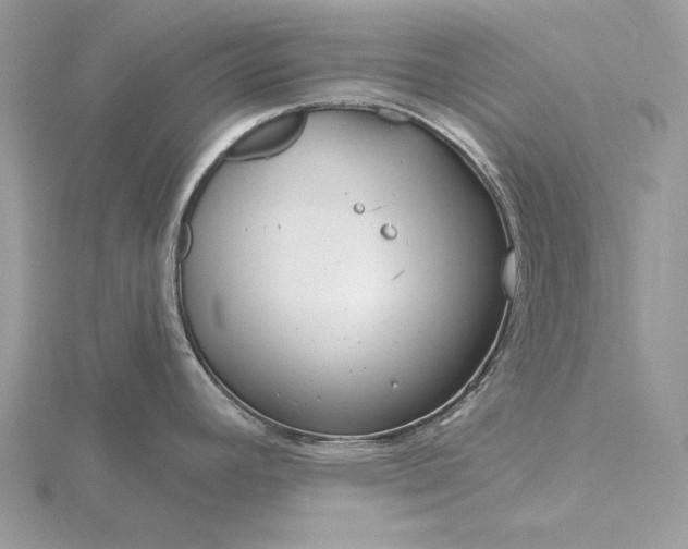 X0000116161392200912071315