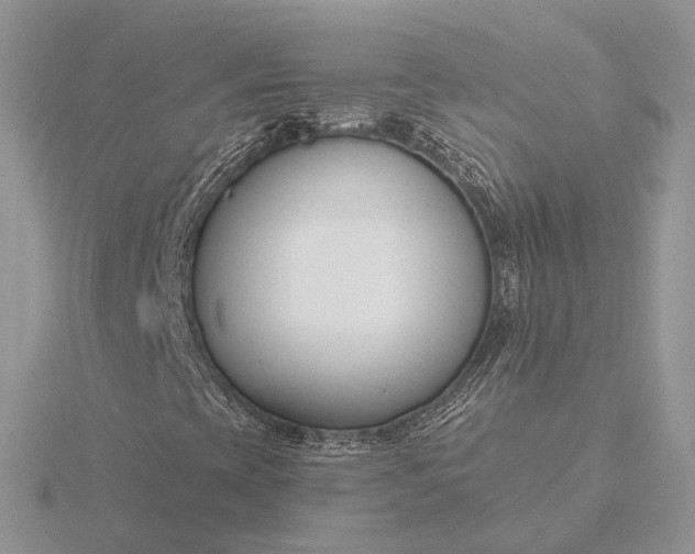 X0000116161393200912071315