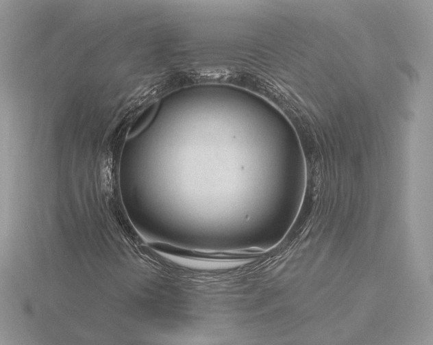 X0000116161394200912071315